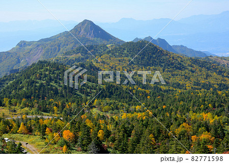 志賀高原横手山の紅葉 82771598