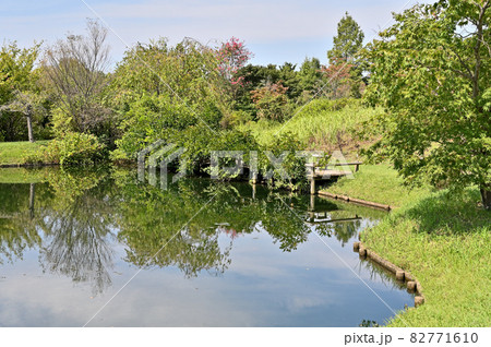 野田市散歩：清水公園　花ファンタジア 82771610