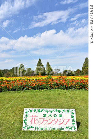 野田市散歩：清水公園　花ファンタジア 82771613