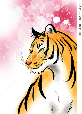ピンクの背景の虎の手描きイラストのイラスト素材 [82771837] - PIXTA