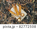 A gift wrapped in craft paper and decorated with dried fern leaves and glass acorns. 82772508