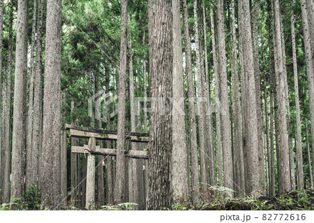 京都市右京区京北町に所在する賀茂神社を撮影 京都市右京区京北町に所在する賀茂神社を撮影 82772616