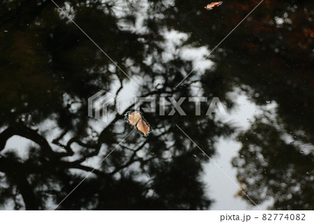 風景・庭園・風景を映す池の水 風景・庭園・風景を映す池の水 82774082