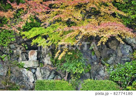 京都市西京区善峯寺の紅葉を撮影 京都市西京区善峯寺の紅葉を撮影 82774180