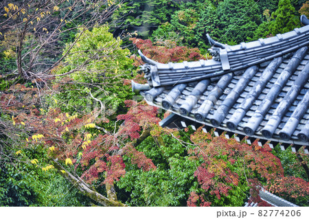 京都市西京区善峯寺の紅葉を撮影 京都市西京区善峯寺の紅葉を撮影 82774206