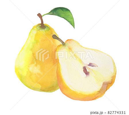 水彩で描いた洋梨のイラスト 82774331