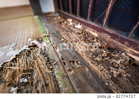 老朽化し家の畳と敷居 82774727