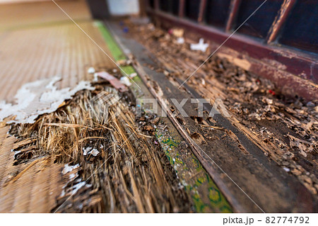 老朽化し家の畳と敷居 82774792