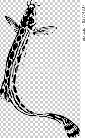 魚類:シマドジョウ 魚類:シマドジョウ 82774837