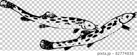 魚:柳泥鰍 魚:柳泥鰍 82774838