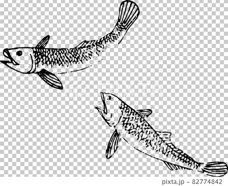 魚：伊薩 82774842