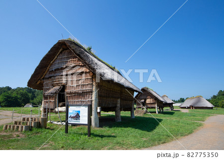 《青森県》山内丸山遺跡 《青森県》山内丸山遺跡 82775350
