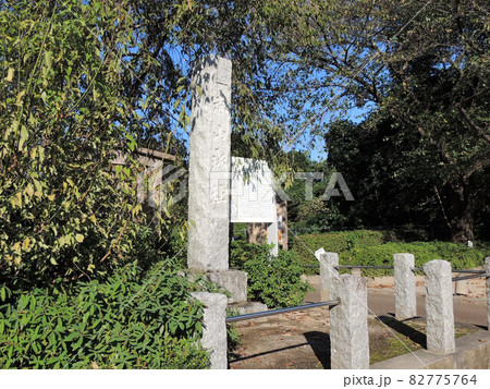 赤山城跡 82775764