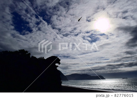 獣の影 獣の影 82776015