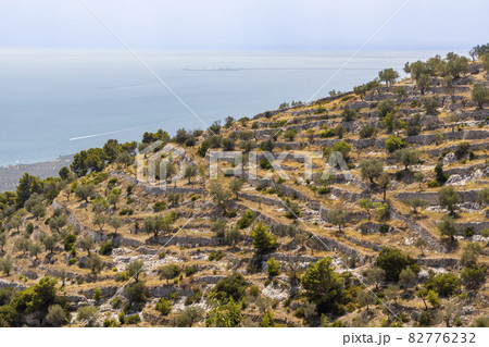 Landscape near Monte Sant Angelo, Apulia region, Italy Landscape near Monte Sant Angelo, Apulia region, Italy 82776232