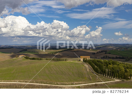 Typical Tuscan landscape in Val d'orcia, Italiy Typical Tuscan landscape in Val d'orcia, Italiy 82776234