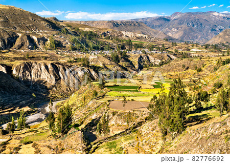 Terraced fields within the Colca Canyon in Peru 82776692