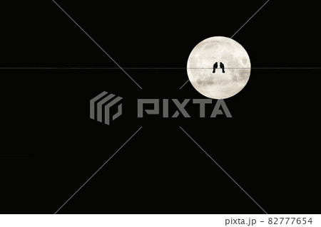 Two birds on a wire or electric line on the night sky with huge moon background. Relationship romantic Concept Two birds on a wire or electric line on the night sky with huge moon background. Relationship romantic Concept 82777654