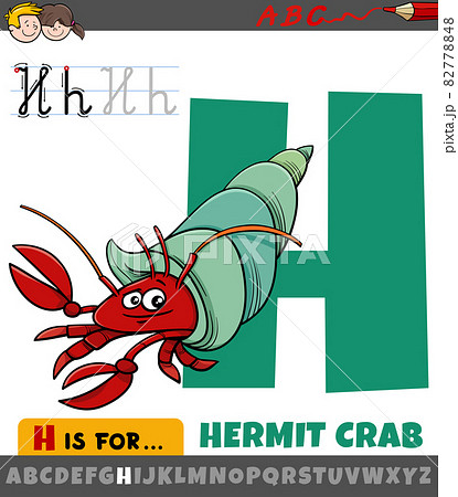 letter H from alphabet with cartoon hermit crab 82778848