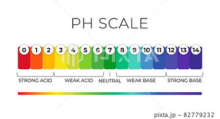 pH value scale chart for acid-alkaline solution. Acid-base balance infographic isolated on white background. Indicator for concentration of hydrogen ion in solution. Vector illustration pH value scale chart for acid-alkaline solution. Acid-base balance infographic isolated on white background. Indicator for concentration of hydrogen ion in solution. Vector illustration 82779232