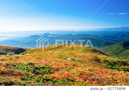 栗駒山全山紅葉神の絨毯 82779896