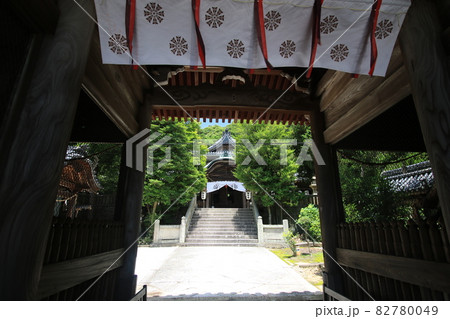 大避神社 10 大避神社 10 82780049