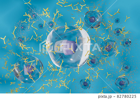 抗体を産生する形質細胞のイメージのイラスト素材