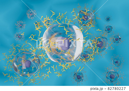 抗体を産生する形質細胞のイメージ 抗体を産生する形質細胞のイメージ 82780227