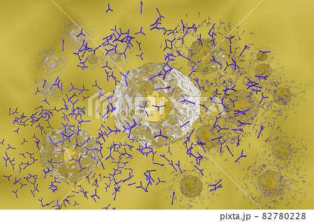 抗体を産生する形質細胞のイメージ 82780228
