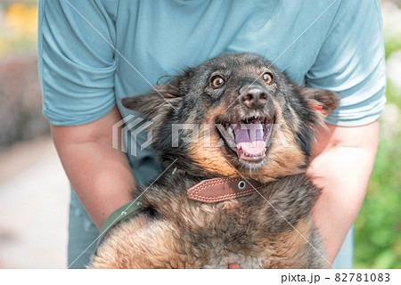 woman in blue clothes hugs mongrel dog with red clip in ear 82781083
