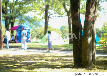 キャンプ場イメージ 木洩れ日 アウトフォーカス キャンプ場イメージ 木洩れ日 アウトフォーカス 82781665
