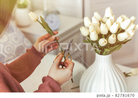 Cropped image of female florist cutting tulips flowers and putting in vase sitting at the living room coffee table. Cropped image of female florist cutting tulips flowers and putting in vase sitting at the living room coffee table. 82781670