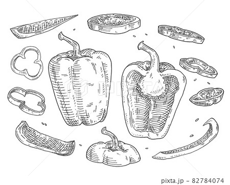 Sweet bell pepper different slices. Vintage hatching black illustration. Sweet bell pepper different slices. Vintage hatching black illustration. 82784074