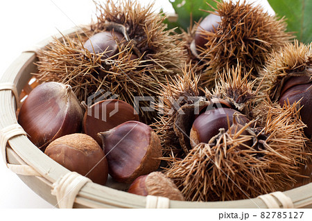 山栗　　柴栗　 82785127