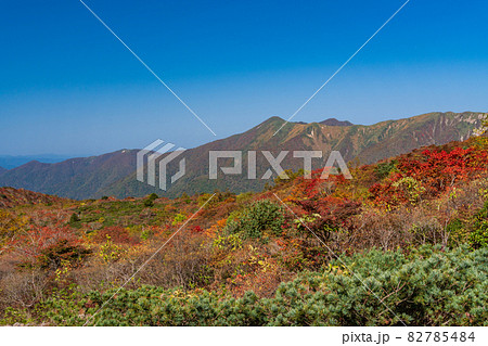 (栃木県)那須岳・茶臼岳 姥ヶ平の紅葉 (栃木県)那須岳・茶臼岳 姥ヶ平の紅葉 82785484