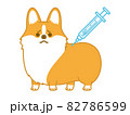 注射を打つウェルッシュコーギー 82786599
