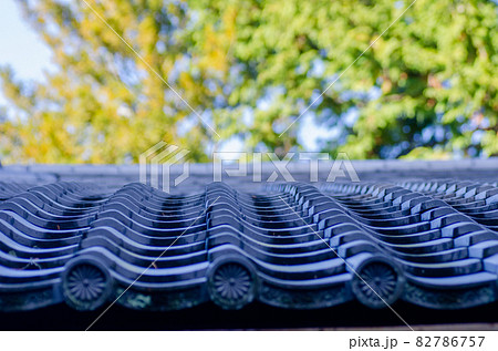 晩秋の修学院離宮 82786757