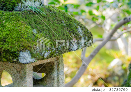 晩秋の修学院離宮 82786760