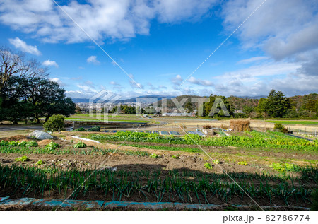 晩秋の修学院離宮 82786774