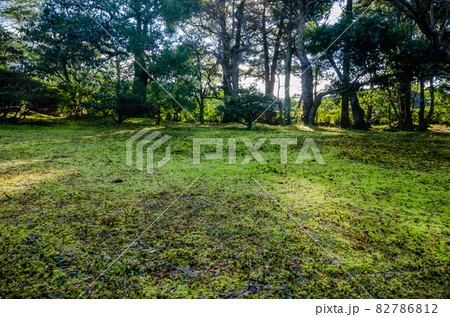 晩秋の修学院離宮 82786812