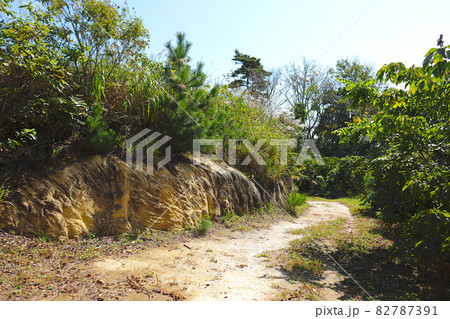 嵯峨渓遊歩道の風景。宮城県東松島市宮戸推山。 嵯峨渓遊歩道の風景。宮城県東松島市宮戸推山。 82787391