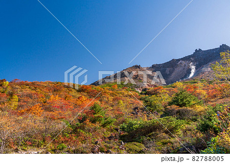 (栃木県)那須岳・紅葉の姥ヶ平から見上げる、茶臼岳山頂 (栃木県)那須岳・紅葉の姥ヶ平から見上げる、茶臼岳山頂 82788005