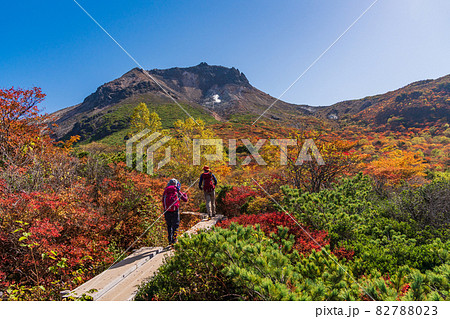 （栃木県）那須岳・紅葉の姥ヶ平から見上げる、茶臼岳山頂 82788023