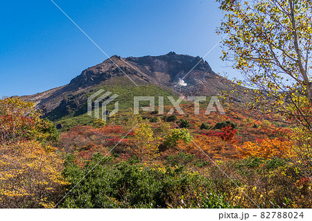 （栃木県）那須岳・紅葉の姥ヶ平から見上げる、茶臼岳山頂 82788024