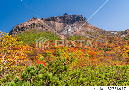(栃木県)那須岳・紅葉の姥ヶ平から見上げる、茶臼岳山頂 (栃木県)那須岳・紅葉の姥ヶ平から見上げる、茶臼岳山頂 82788037