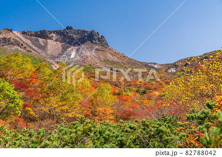 （栃木県）那須岳・紅葉の姥ヶ平から見上げる、茶臼岳山頂 82788042
