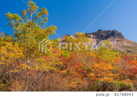 (栃木県)那須岳・紅葉の姥ヶ平から見上げる、茶臼岳山頂 (栃木県)那須岳・紅葉の姥ヶ平から見上げる、茶臼岳山頂 82788043