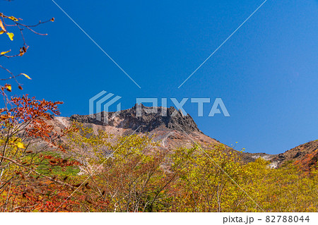 (栃木県)那須岳・紅葉の姥ヶ平から見上げる、茶臼岳山頂 (栃木県)那須岳・紅葉の姥ヶ平から見上げる、茶臼岳山頂 82788044