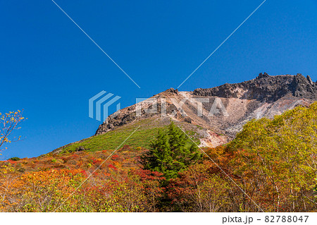 （栃木県）那須岳・紅葉の姥ヶ平から見上げる、茶臼岳山頂 82788047