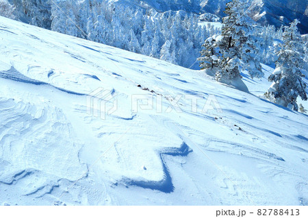 雪　樹氷（長野県志賀高原） 82788413